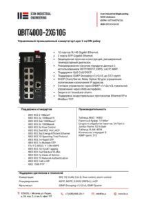 Icon Industrial qbit4000-2xg10g-pdf-212x300 