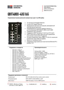Icon Industrial qbit4000-4xg16g-pdf-212x300 