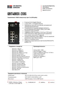 Icon Industrial qbit4000x-2x8g-pdf-212x300 
